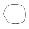 BRTVA ISPOD GLAVE (O-RING) RUNN.50